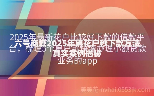 六号商城2025年黑花户秒下款方法真实案例揭秘