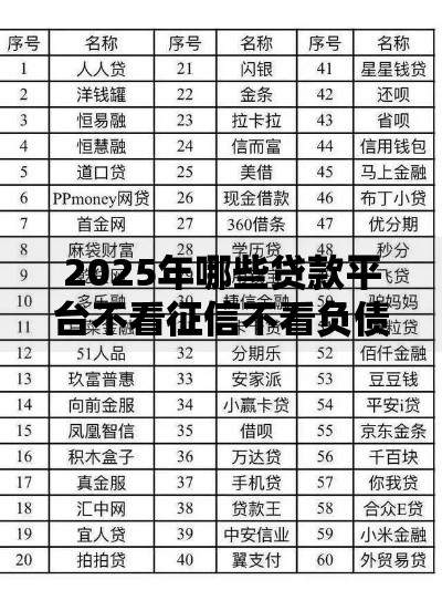 2025年哪些贷款平台不看征信不看负债记录最热门