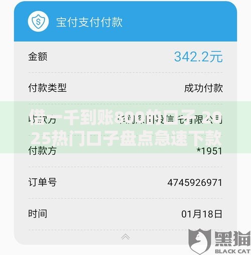借一千到账800的口子 2025热门口子盘点急速下款
