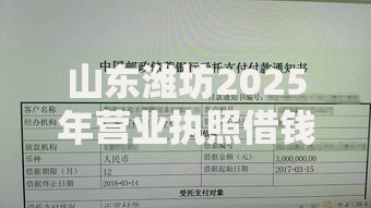 山东潍坊2025年营业执照借钱新口子不看征信放款快