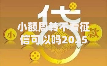 小额周转不看征信可以吗2025年热门无门槛借款平台全解析