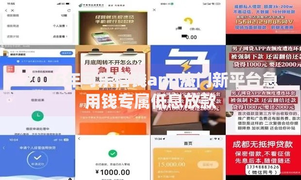 2025年可乐借钱app热门新平台急用钱专属低息放款