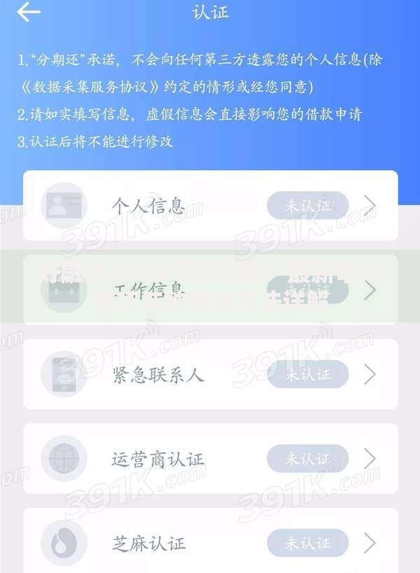 好融易2025下款攻略：最新审核技巧与秒到账方法详解