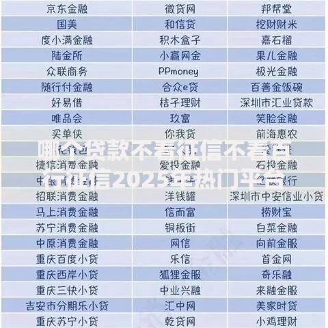 哪个贷款不看征信不看百行征信2025年热门平台