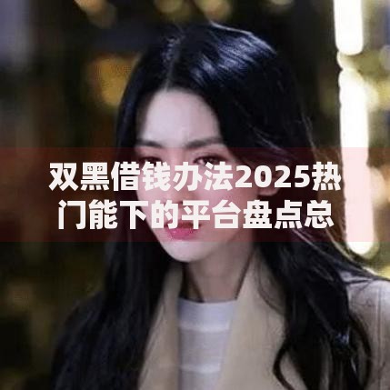 双黑借钱办法2025热门能下的平台盘点总结