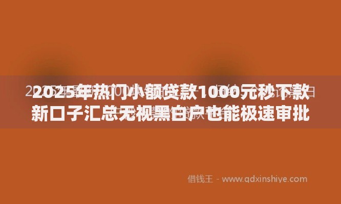 2025年热门小额贷款1000元秒下款新口子汇总无视黑白户也能极速审批