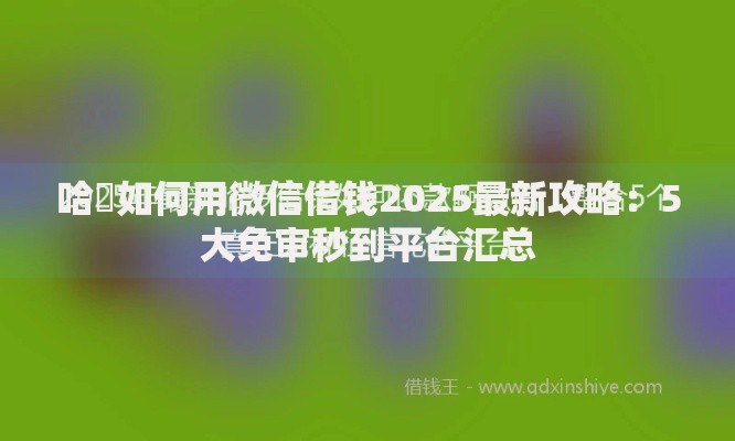 哈啰如何用微信借钱2025最新攻略：5大免审秒到平台汇总