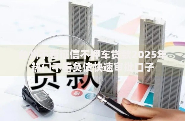 台州不看征信不押车贷款2025年热门不看负债快速审批口子