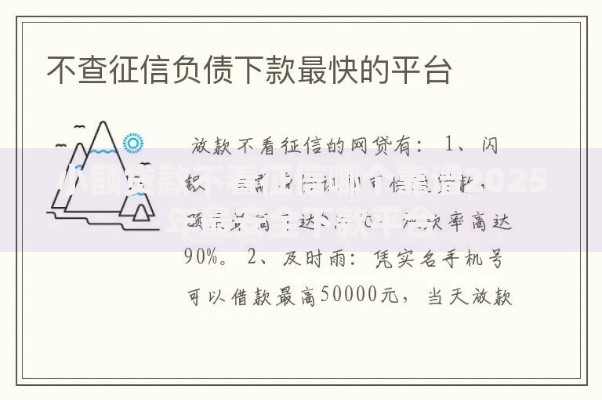 小额贷款不看征信哪个靠谱2025年最安全下款平台