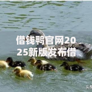 借钱鸭官网2025新版发布借款便捷到账快低利率