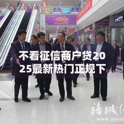 不看征信商户贷2025最新热门正规下款快免抵押线上放款