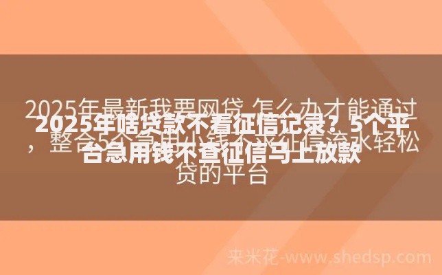 2025年啥贷款不看征信记录?5个平台急用钱不查征信马上放款 2025年啥贷款不看征信记录?5个平台急用钱不查征信马上放款