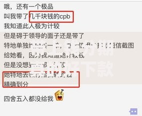 带上钱分期真的好下款吗2025年最新下款内幕和攻略