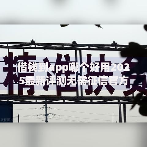 借钱到app哪个好用2025最新评测无需征信官方认证正规平台