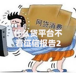 什么贷平台不看征信报告2025年不看征信的网贷排行及注意事项