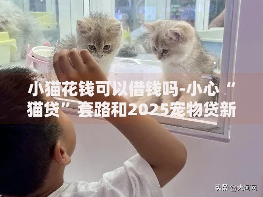 小猫花钱可以借钱吗-小心“猫贷”套路和2025宠物贷新骗局揭秘