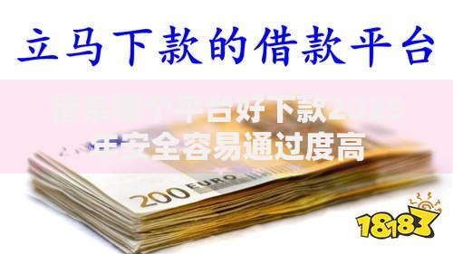 借条哪个平台好下款2025年安全容易通过度高