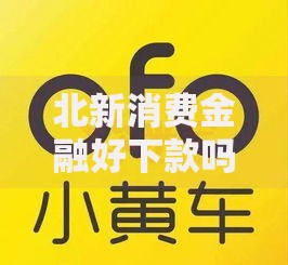 北新消费金融好下款吗：2025年最热秒下小额贷款平台评测