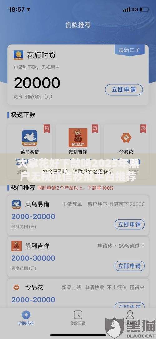 大拿花好下款吗2025年黑户无视征信秒批平台推荐