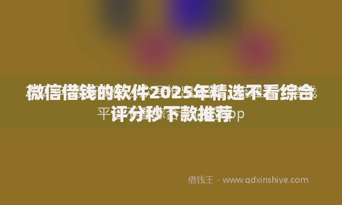 微信借钱的软件2025年精选不看综合评分秒下款推荐