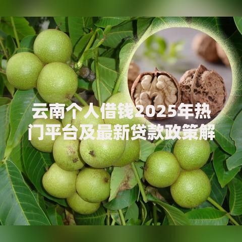 云南个人借钱2025年热门平台及最新贷款政策解读