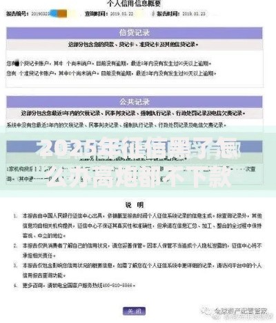 2025年征信黑了怎么办高炮都不下款了这些新平台可以应急申请指南