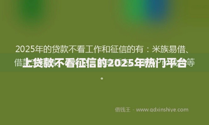 上贷款不看征信的2025年热门平台