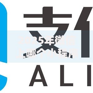 2025年微信上哪个小程序好借钱：热门平台分析与实用指南