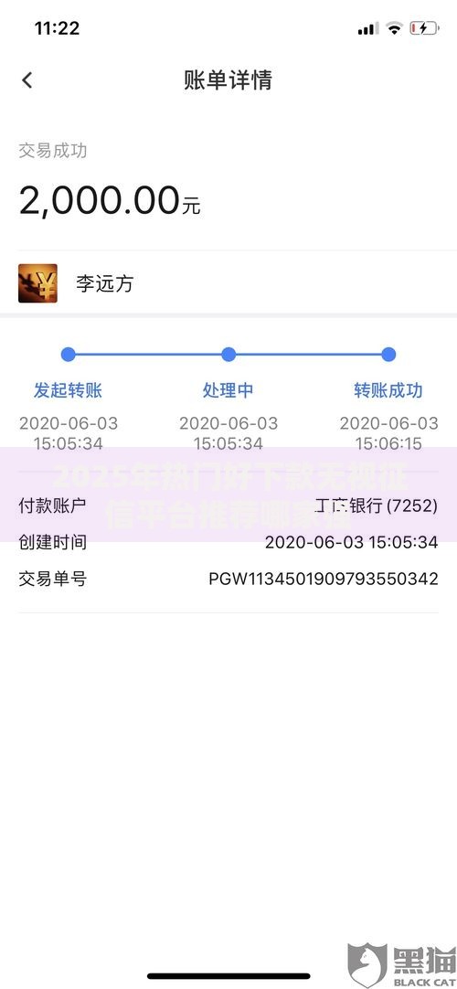 2025年热门好下款无视征信平台推荐哪家强 2025年热门好下款无视征信平台推荐哪家强