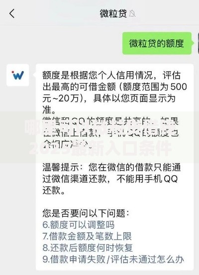 哪里可以微粒贷借钱2025最新入口条件利率秒到账