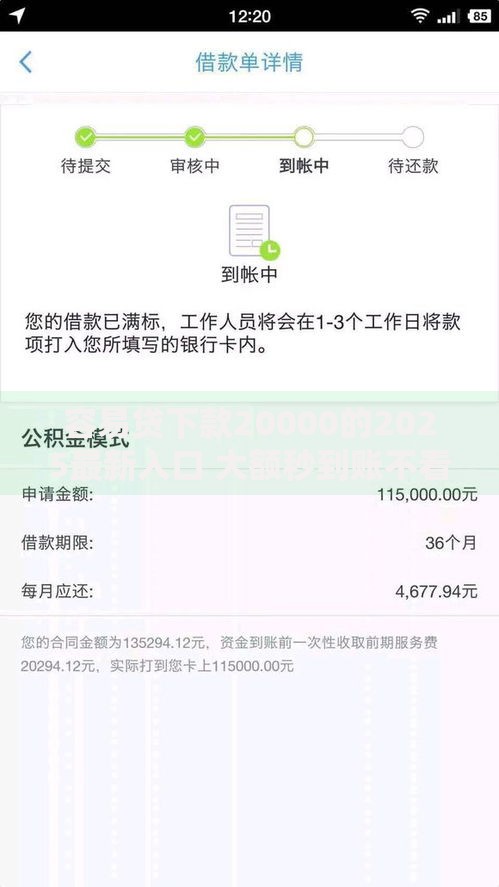 容易贷下款20000的2025最新入口 大额秒到账不看征信