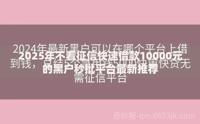 2025年不看征信快速借款10000元的黑户秒批平台最新推荐