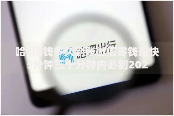 哈啰借钱多久到账微信零钱最快5分钟三十分钟内必到202