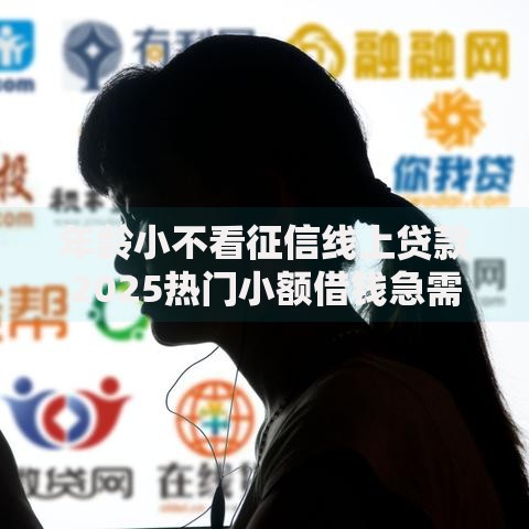 年龄小不看征信线上贷款2025热门小额借钱急需救急口子