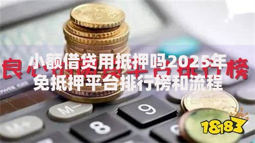 小额借贷用抵押吗2025年免抵押平台排行榜和流程解析 小额借贷用抵押吗2025年免抵押平台排行榜和流程解析