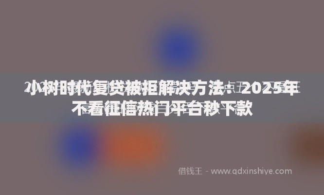 小树时代复贷被拒解决方法：2025年不看征信热门平台秒下款