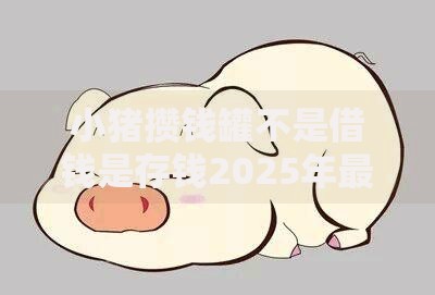 小猪攒钱罐不是借钱是存钱2025年最新热门储钱罐特点 小猪攒钱罐不是借钱是存钱2025年最新热门储钱罐特点