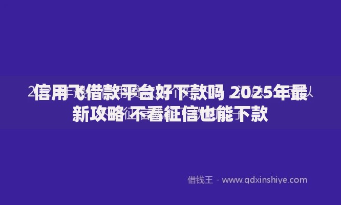 信用飞借款平台好下款吗 2025年最新攻略 不看征信也能下款