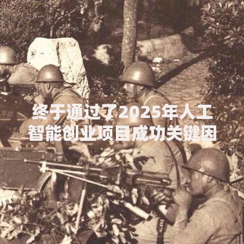 终于通过了2025年人工智能创业项目成功关键因素解析
