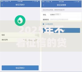 2025年不看征信的贷款大口子实测:这5个平台最容易批款 2025年不看征信的贷款大口子实测:这5个平台最容易批款