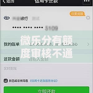 微乐分有额度审核不通过-2025年解决技巧与最新通过方案 微乐分有额度审核不通过-2025年解决技巧与最新通过方案