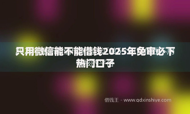 只用微信能不能借钱2025年免审必下热门口子 只用微信能不能借钱2025年免审必下热门口子