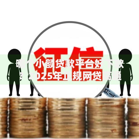 哪个小额贷款平台好下款？2025年正规网贷高通过率平台