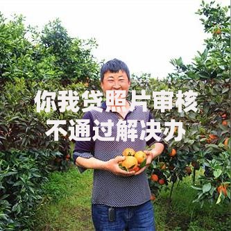 你我贷照片审核不通过解决办法：2025年最新被拒原因和应对策略