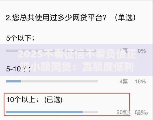 2025不看征信不看负债正规小额网贷：高额度低利息秒下款新选择
