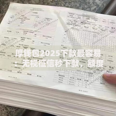 厚钱包2025下款最容易：无视征信秒下款，额度高审核快黑户可借