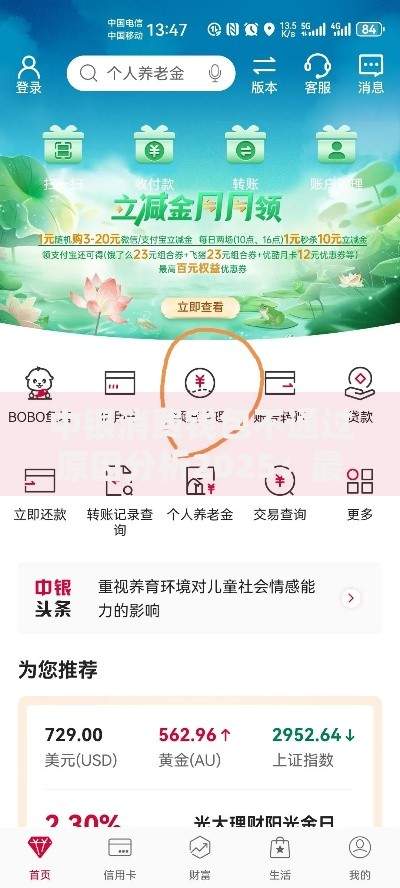 中银消费钱包不通过原因分析2025：最新解套与提额方案