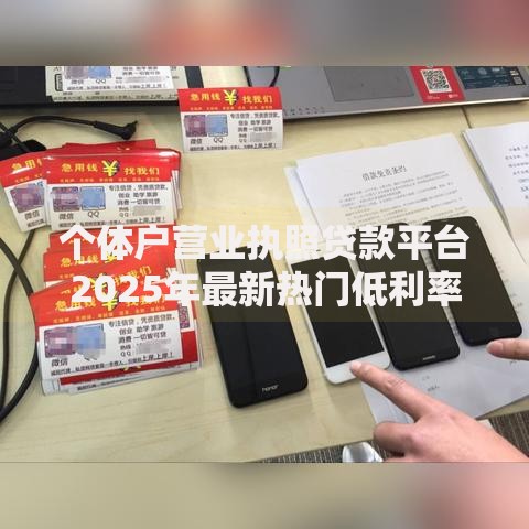 个体户营业执照贷款平台2025年最新热门低利率产品 个体户营业执照贷款平台2025年最新热门低利率产品