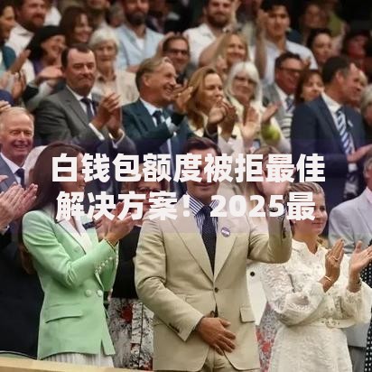 白钱包额度被拒最佳解决方案！2025最新破局攻略