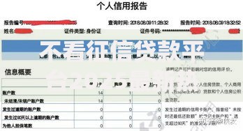 不看征信贷款平台2025最新热门秒下款排行榜